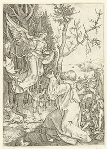 Ángel se le aparece a Joaquín
Vida de María (título de la serie) de Marcantonio Raimondi