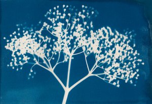 Cartas, 2014 (impresión xilográfica sobre papel) de Marco Campedelli