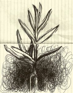 Planta, 2014 (tinta sobre papel) de Marco Campedelli