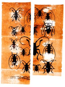 Bufandas, 2023 (técnica mixta)