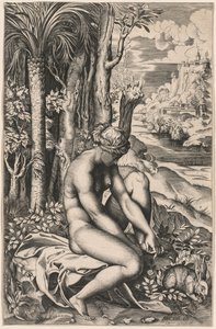 Venus herida por una espina de rosa