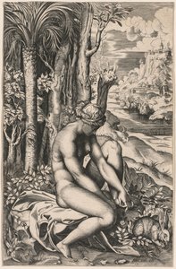 Venus herida por una espina de rosa, c. 1516