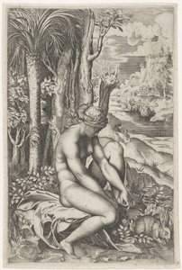 Venus herida por la espina de una rosa