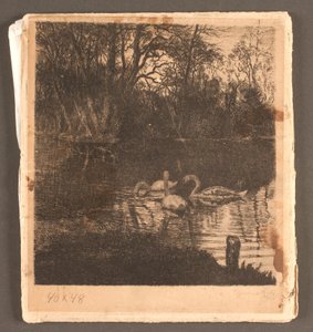 Motivo con cisnes. Jardín de Frederiksberg de Marcus Bech Fritz