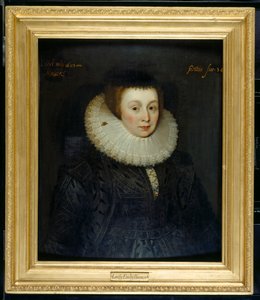 Lady Emily Howard de Marcus Gheeraerts