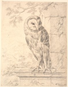 Búho del Barón von Stosch de Marcus Tuscher