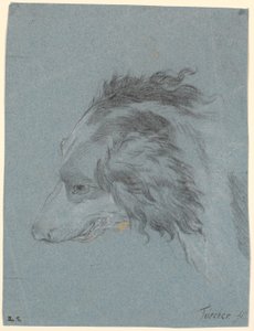 Cabeza de perro de Marcus Tuscher