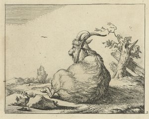 Buck sentado por árbol caído Cabras y dólares (título de la serie) de Marcus de Bye