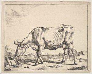 Vaca, después de Paulus Potter de Marcus de Bye