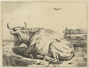 vaca, acostado, por, cerca Ganado (título de la serie) de Marcus de Bye