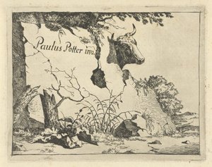 Cabeza de ternera detrás de roca Bovinos y porcinos (título de la serie) de Marcus de Bye