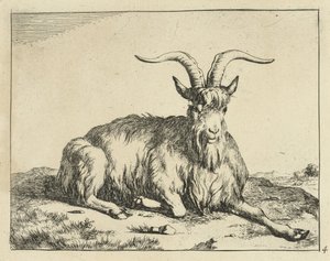 Cabra tumbada con la pata delantera extendida Cabras y dólares (título de la serie) de Marcus de Bye
