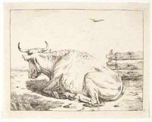 Vaca mentirosa de Marcus de Bye