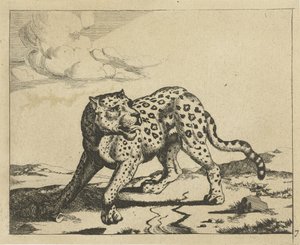 Leopardo, de pie a la izquierda, cabeza a la derecha. Leopardos (título de la serie) de Marcus de Bye