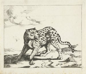 Leopardo, de pie a la izquierda, cabeza a la derecha. Leopardos (título de la serie) de Marcus de Bye