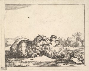Ovejas, de un conjunto de 16 láminas, 1664 de Marcus de Bye