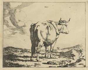 Vaca de pie, vista desde atrás Ganado (título de la serie) de Marcus de Bye