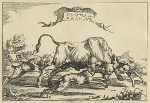 Toro atacado por tres perros de caza Perros de caza (título de la serie) de Marcus de Bye