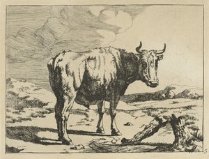 toro, posición, por, tocón de árbol Vacas y ovejas (título de la serie) de Marcus de Bye