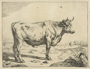 Toro, de pie a la derecha, con pájaros Ganado (título de la serie)