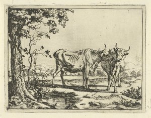 Dos vacas lamiéndose Bovinos y porcinos (título de la serie) de Marcus de Bye