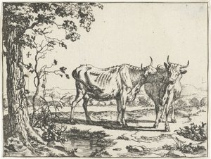 Dos vacas lamiéndose bovinos y porcinos de Marcus de Bye