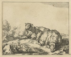 Dos ovejas acostadas junto a la rama de zarzamora Ovejas (título de la serie) de Marcus de Bye