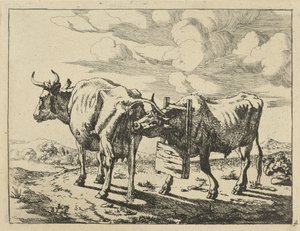 Dos vacas de pie
Vacas y ovejas (título de la serie) de Marcus de Bye