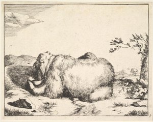 de La serie de los osos de Marcus de Bye