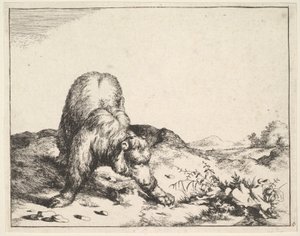 de El conjunto de los osos