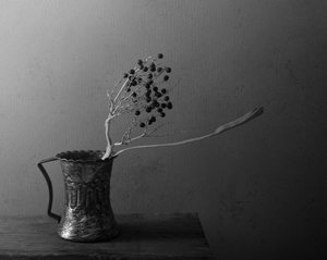 Naturaleza muerta con bayas oscuras de Margaret Halaby