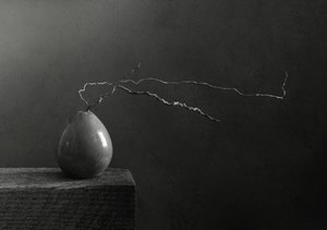 Pera y rama en blanco y negro