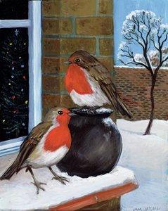 Petirrojos en la nieve