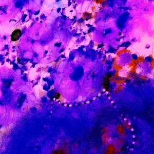 ¡La Hora Azul! de Margareta Uliarte