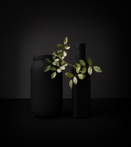 Objetos negros, rama verde de Margareth Perfoncio
