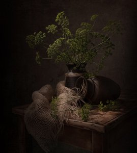Naturaleza muerta botánica oscura de Margareth Perfoncio