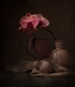 Naturaleza muerta con orquídea oscura de Margareth Perfoncio