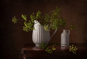 Naturaleza muerta con flores de eneldo de Margareth Perfoncio