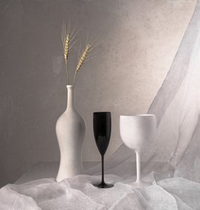 Elegante naturaleza muerta monocromática de Margareth Perfoncio