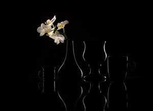  de Margareth Perfoncio