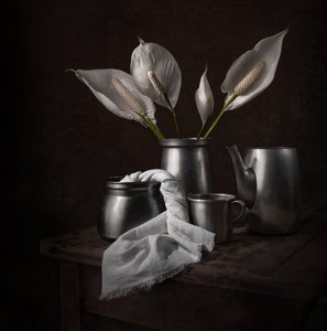 Elegantes lirios de la paz de Margareth Perfoncio