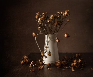 Naturaleza muerta con rosas secas de Moody de Margareth Perfoncio
