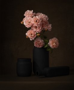 Rosas rosas melancólicas de Margareth Perfoncio