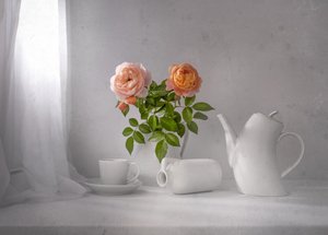 Té de rosas matutino de Margareth Perfoncio