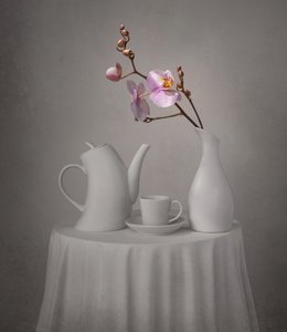La hora del té de la orquídea rosa de Margareth Perfoncio