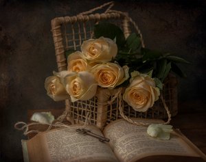  de Margareth Perfoncio