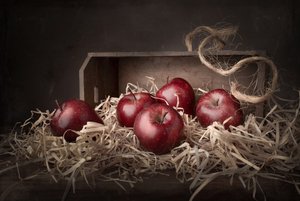 Manzanas «Rustic Harvest» de Margareth Perfoncio