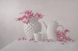 Naturaleza muerta en rosa suave de Margareth Perfoncio