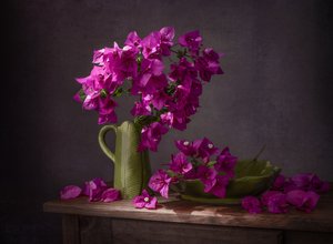 Naturaleza muerta con buganvillas de colores vivos de Margareth Perfoncio
