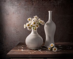 Naturaleza muerta con margaritas blancas de Margareth Perfoncio